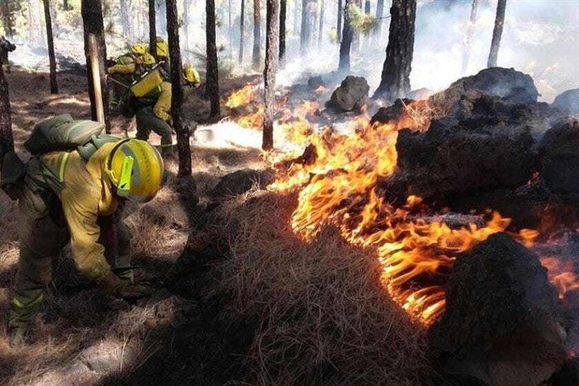 Artificial Intelligence to Improve Proactive and Reactive Wildfire Response