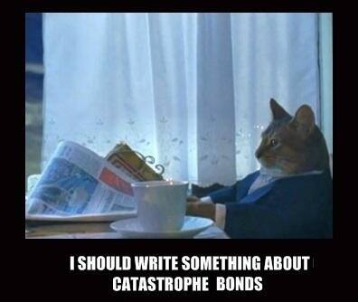 Cat Memes and Cat Bonds: Lessons for the Uninitiated